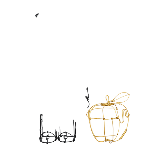HAyU Wire BE@RBRICK 400％ & APPLE