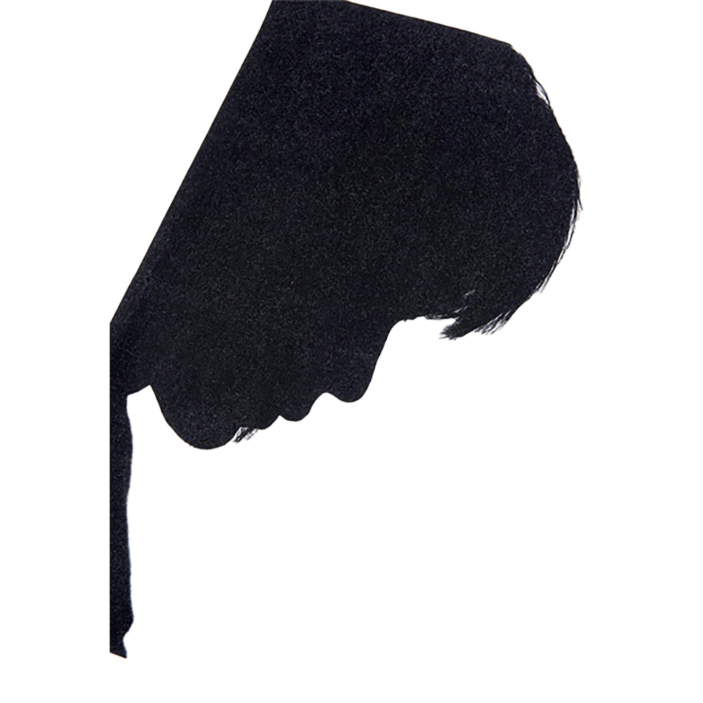 Amplifier "忌野清志郎" TEE Shadow
