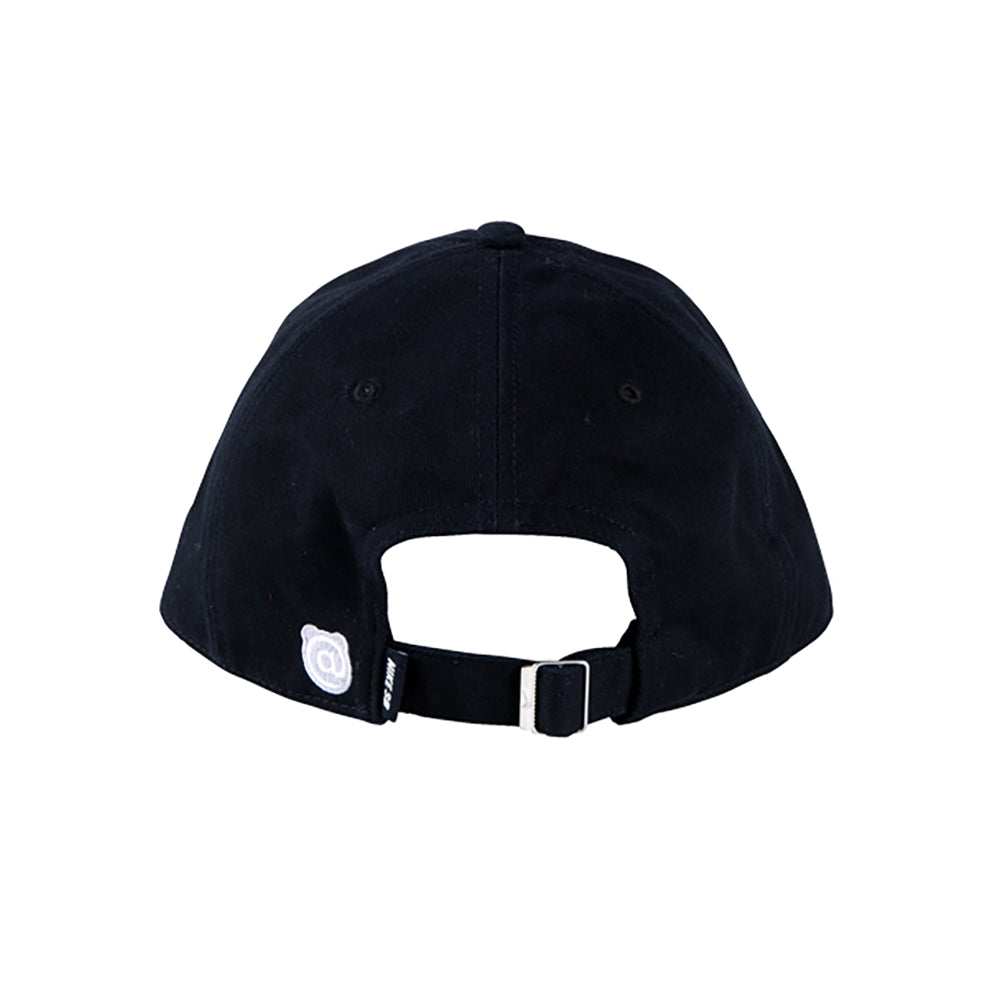 NIKE SB CAP_1