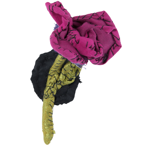 #097 Anne Valerie Dupond Rose violacee