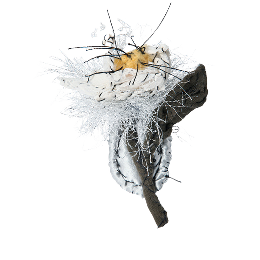 #104 Anne Valerie Dupond Edelweiss