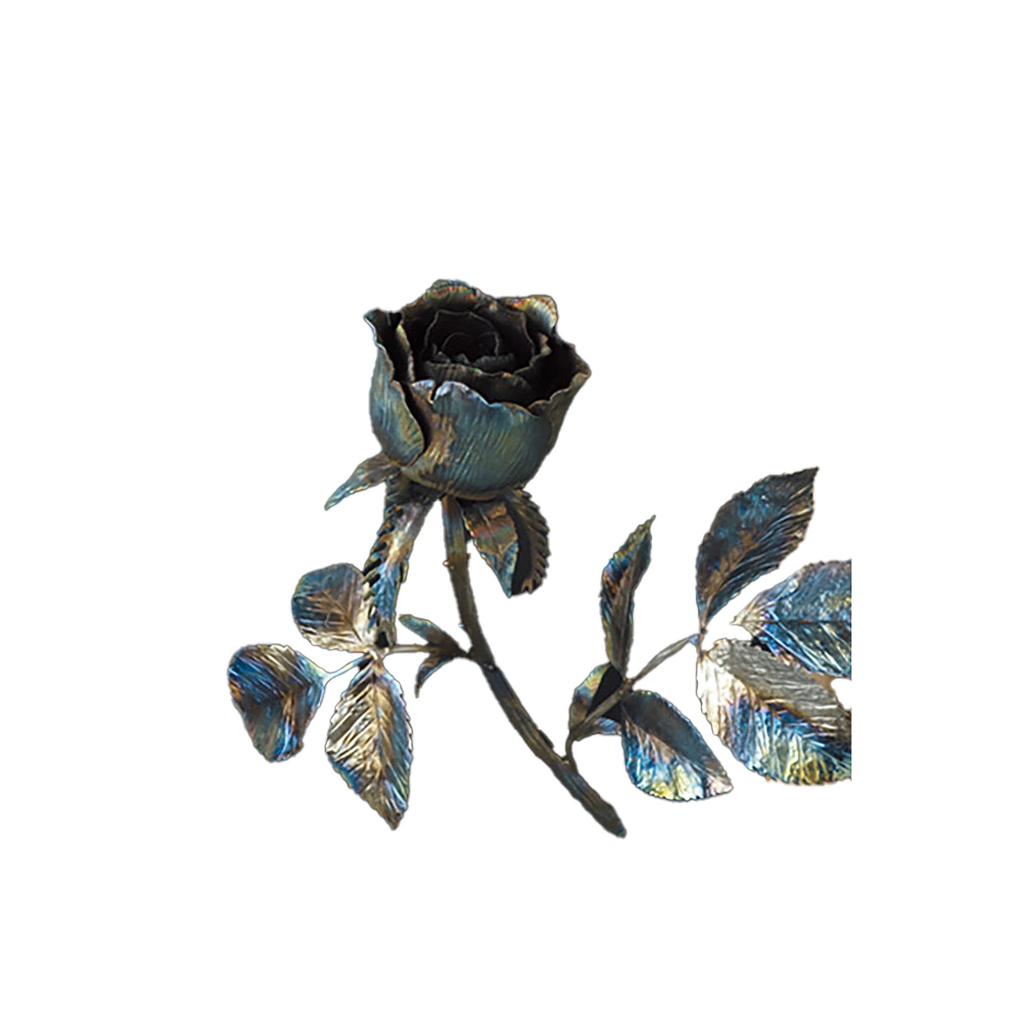 恒良英男 EL Mirage #1 blue rose