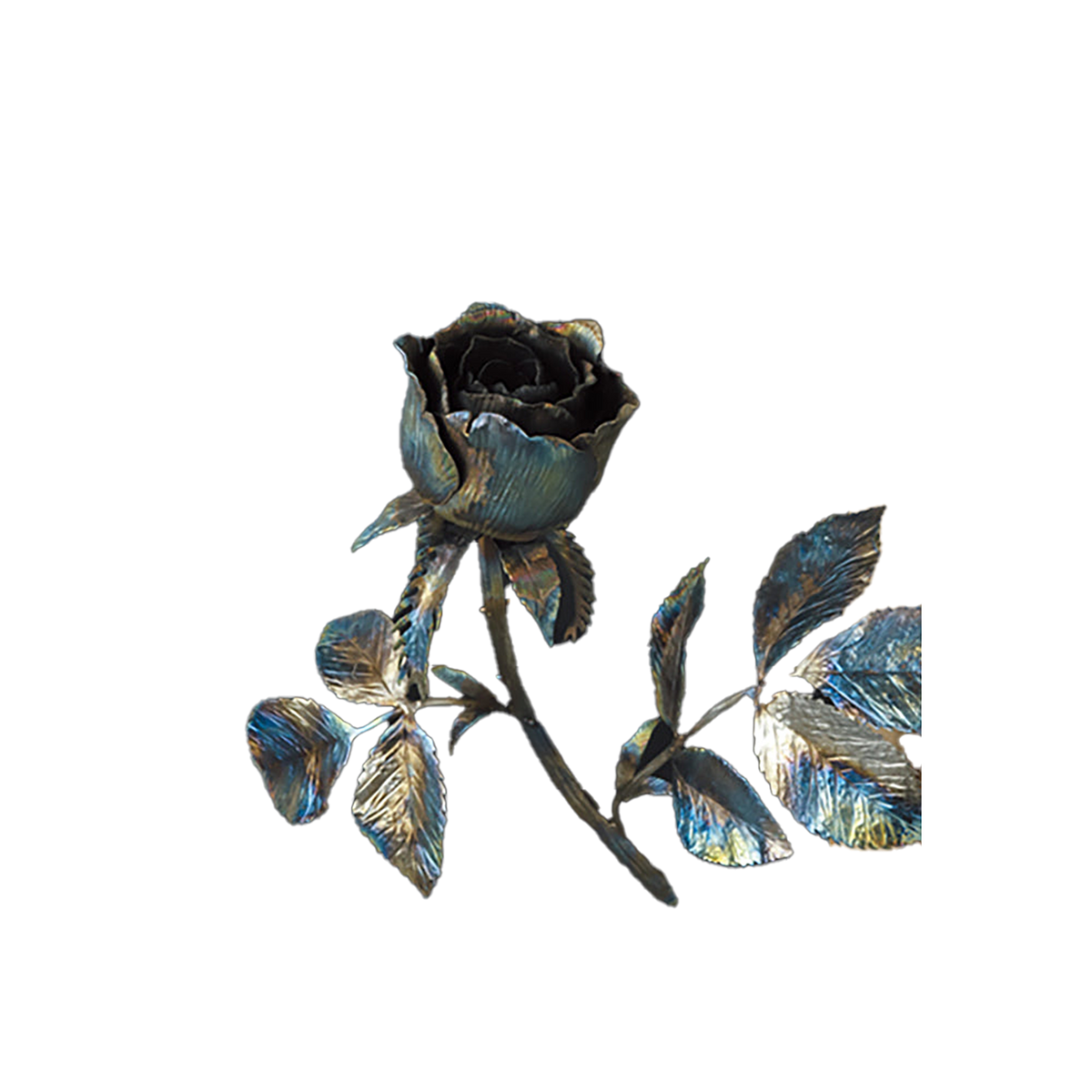 恒良英男 EL Mirage #1 blue rose