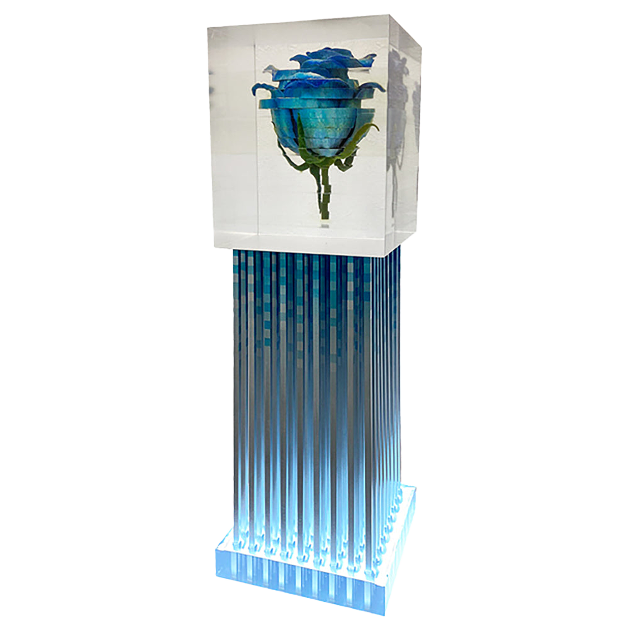 Amazing JIRO バルベンフィリ教授の青い薔薇