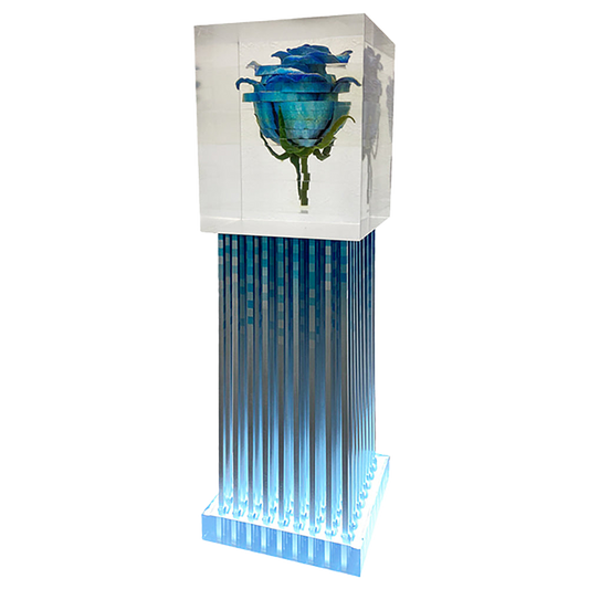 Amazing JIRO バルベンフィリ教授の青い薔薇