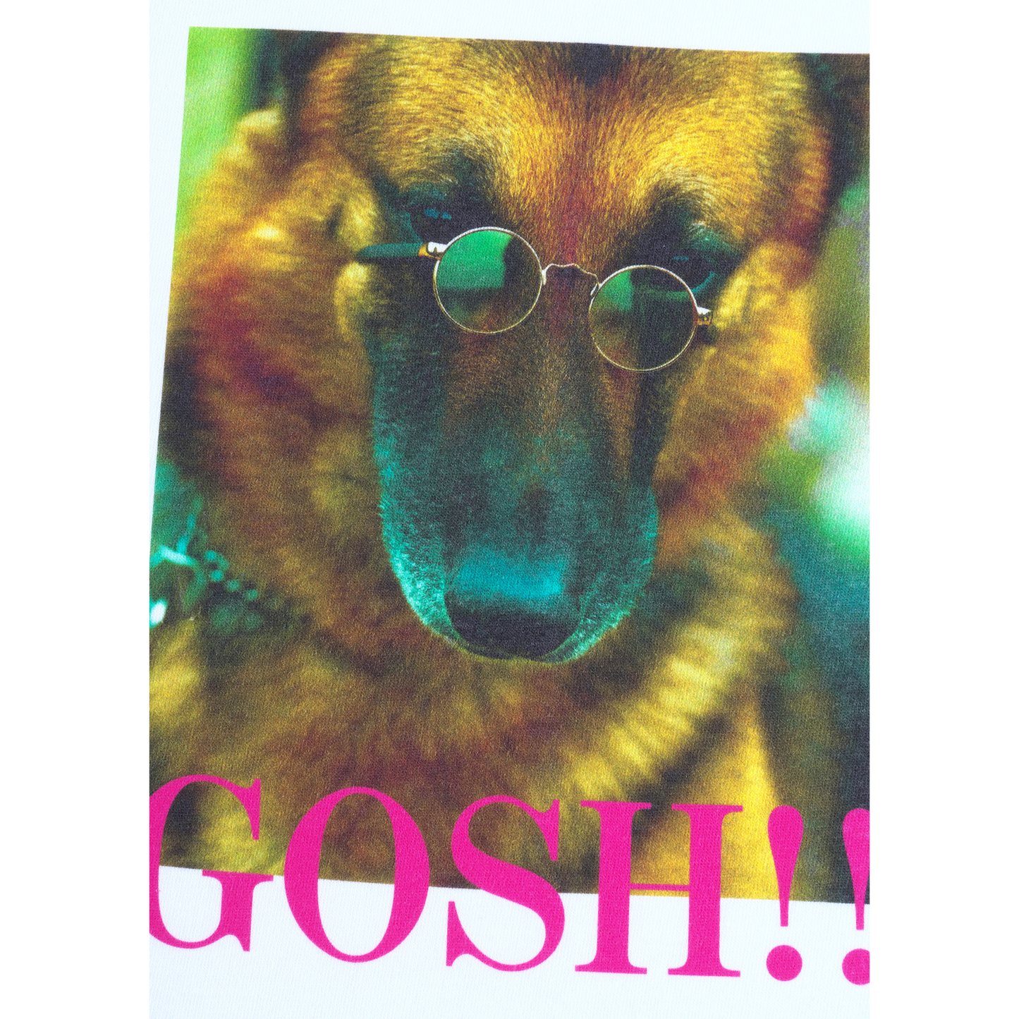 MLE × THE Oliver 狗，（天哪！！）Kono Yarrow MOVIE“DOG”TEE
