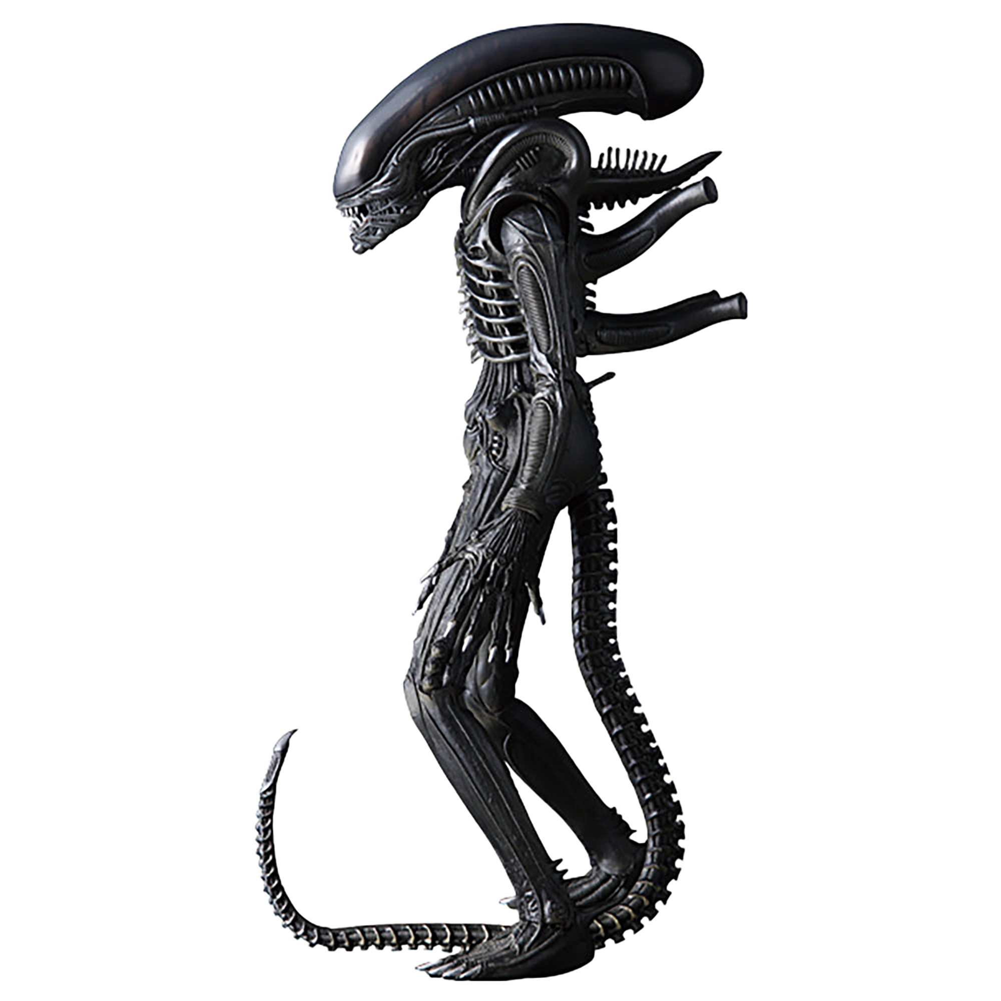 ALIEN(TM)