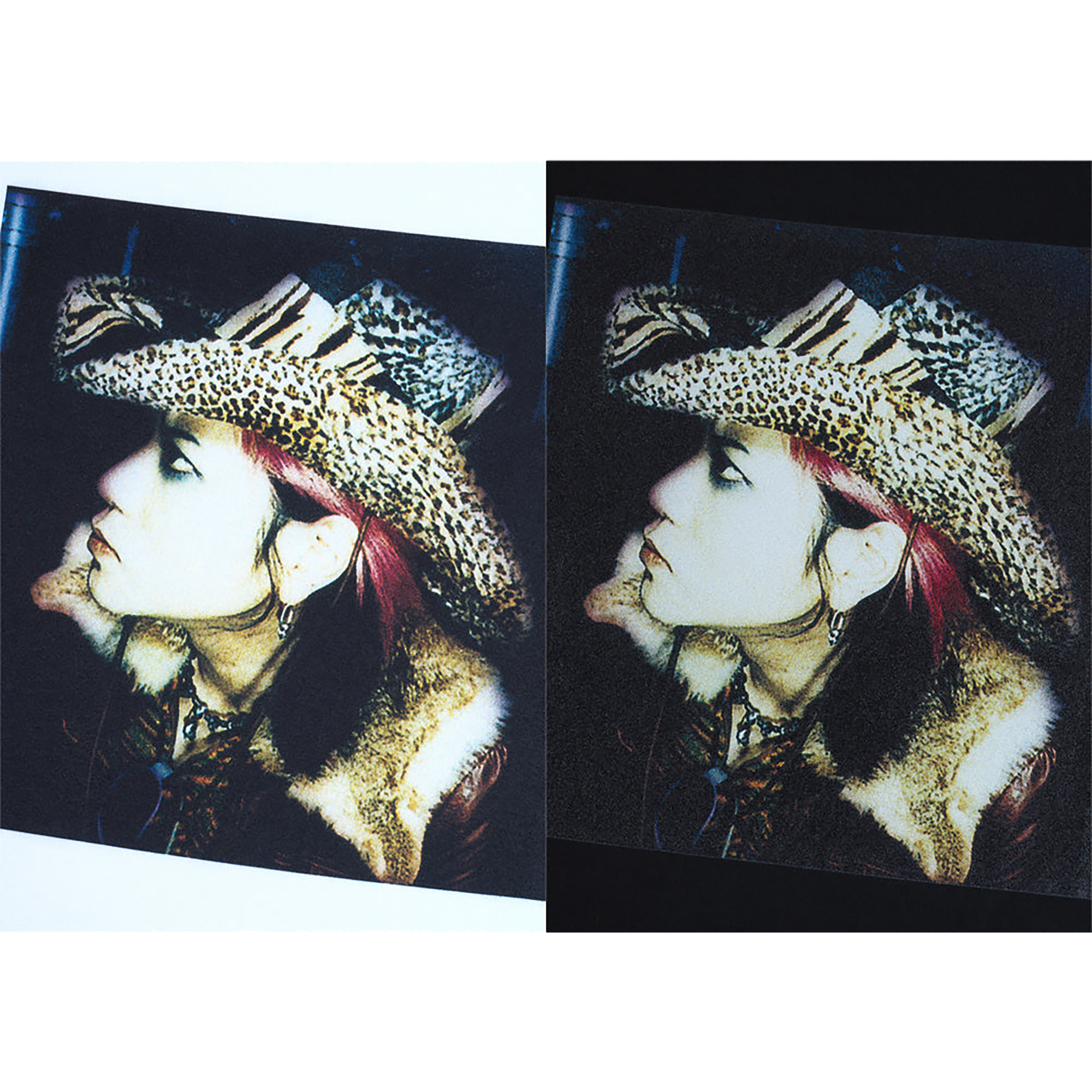 VINYL by Amplifier “hide” TEE "Ja,Zoo"《Planned to be shipped in late October 2025 / Order period is until August 10》