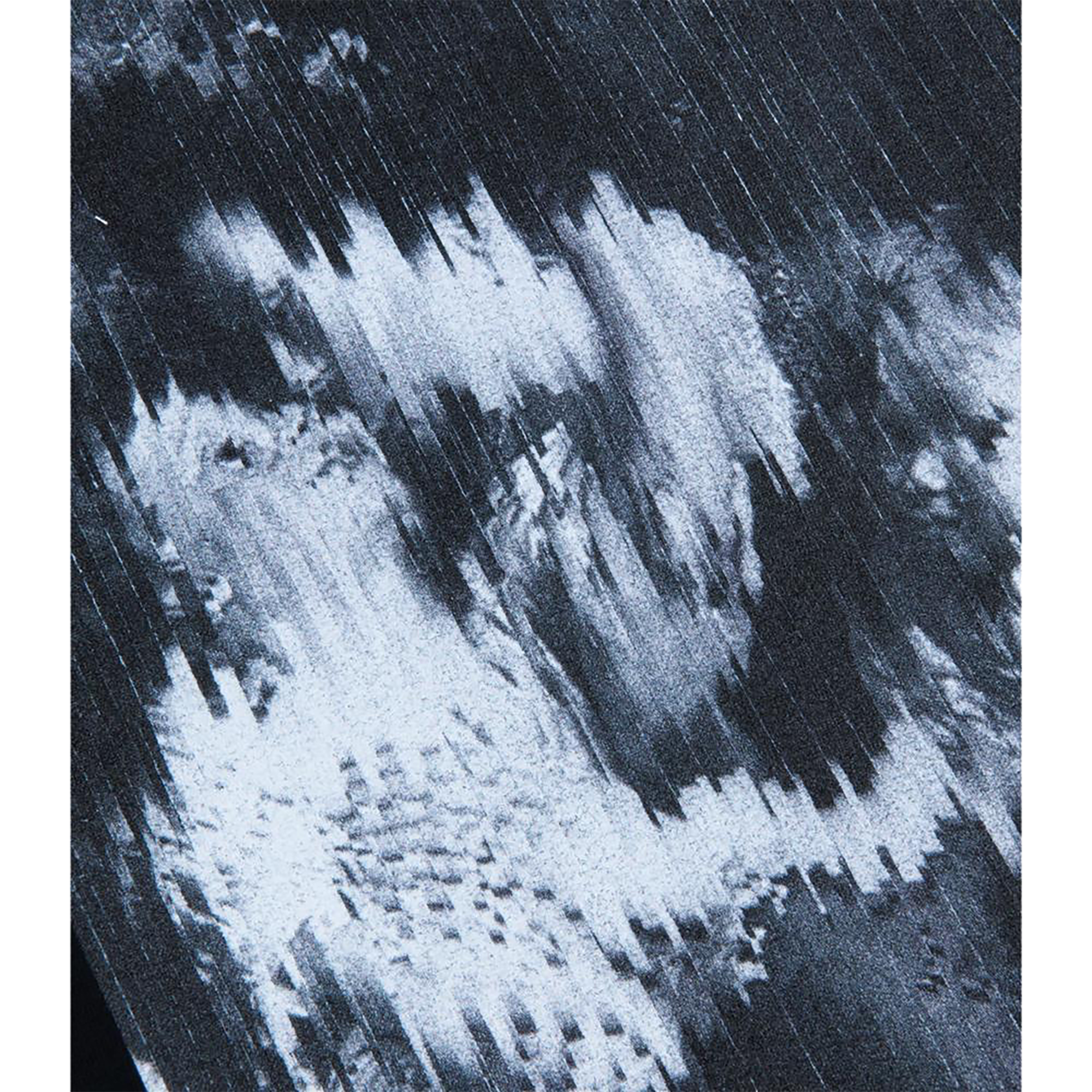 同步。 KOSUKE KAWAMURA T 恤“家庭肖像黑白”