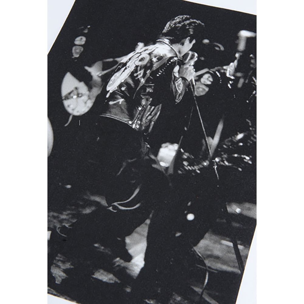Amplifier “BLACK CATS” TEE design A_3