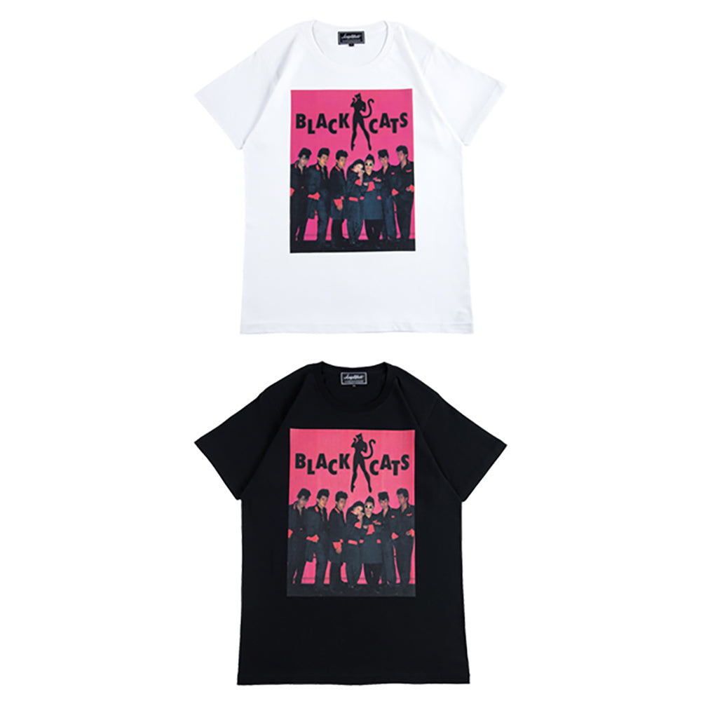 Amplifier “BLACK CATS” TEE design C_0