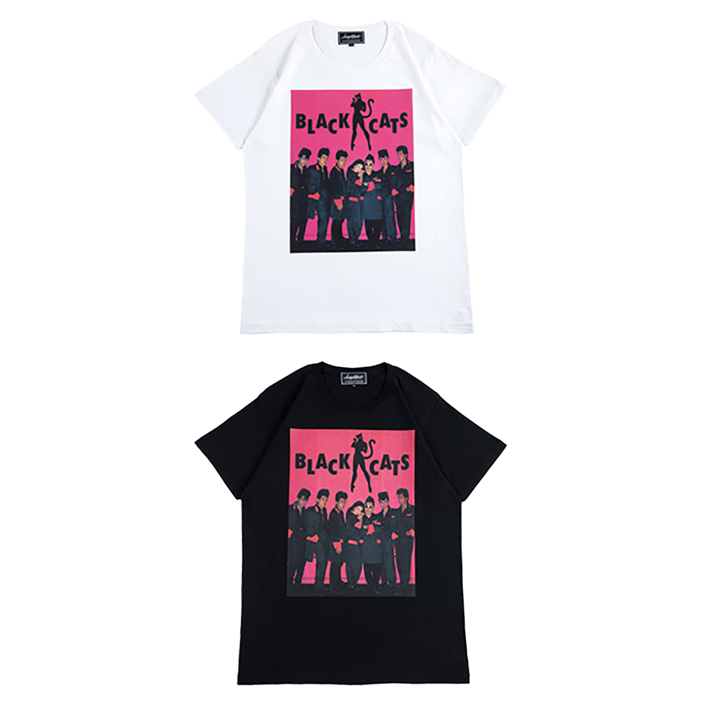 Amplifier “BLACK CATS” TEE design C
