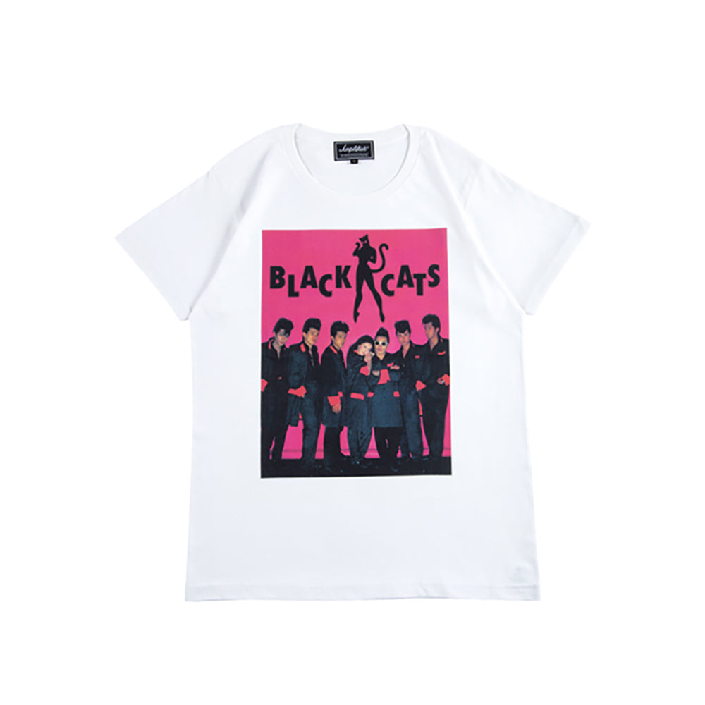 Amplifier “BLACK CATS” TEE design C_1