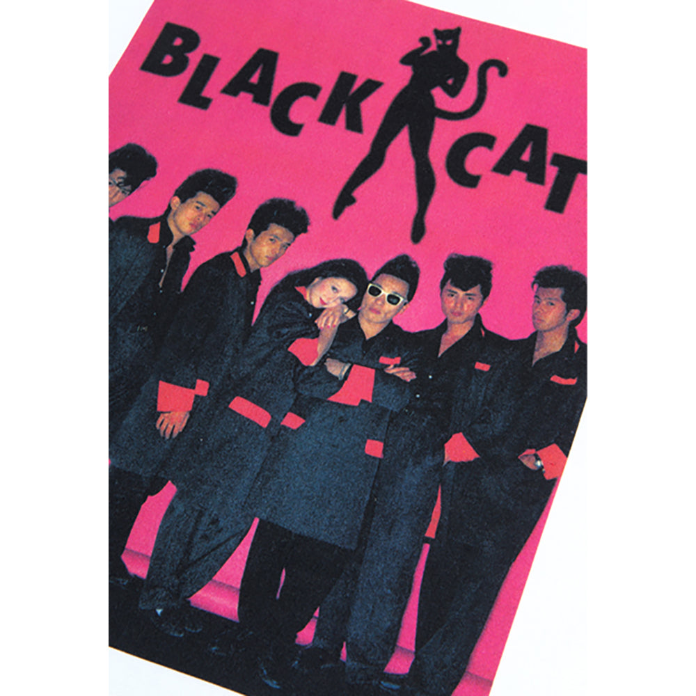 Amplifier “BLACK CATS” TEE design C_3