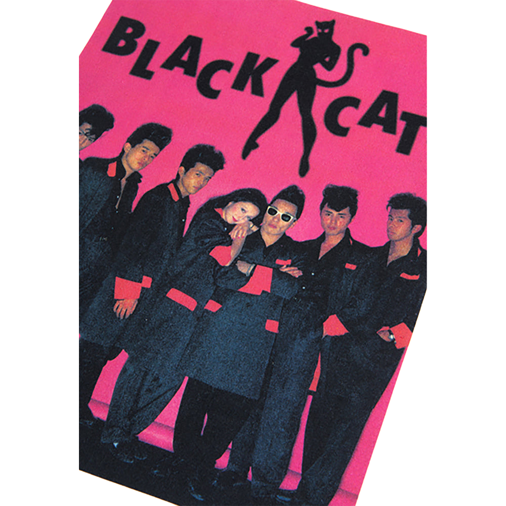 Amplifier “BLACK CATS” TEE design C