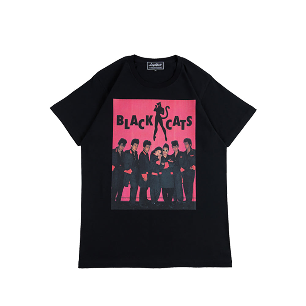 Amplifier “BLACK CATS” TEE design C_4