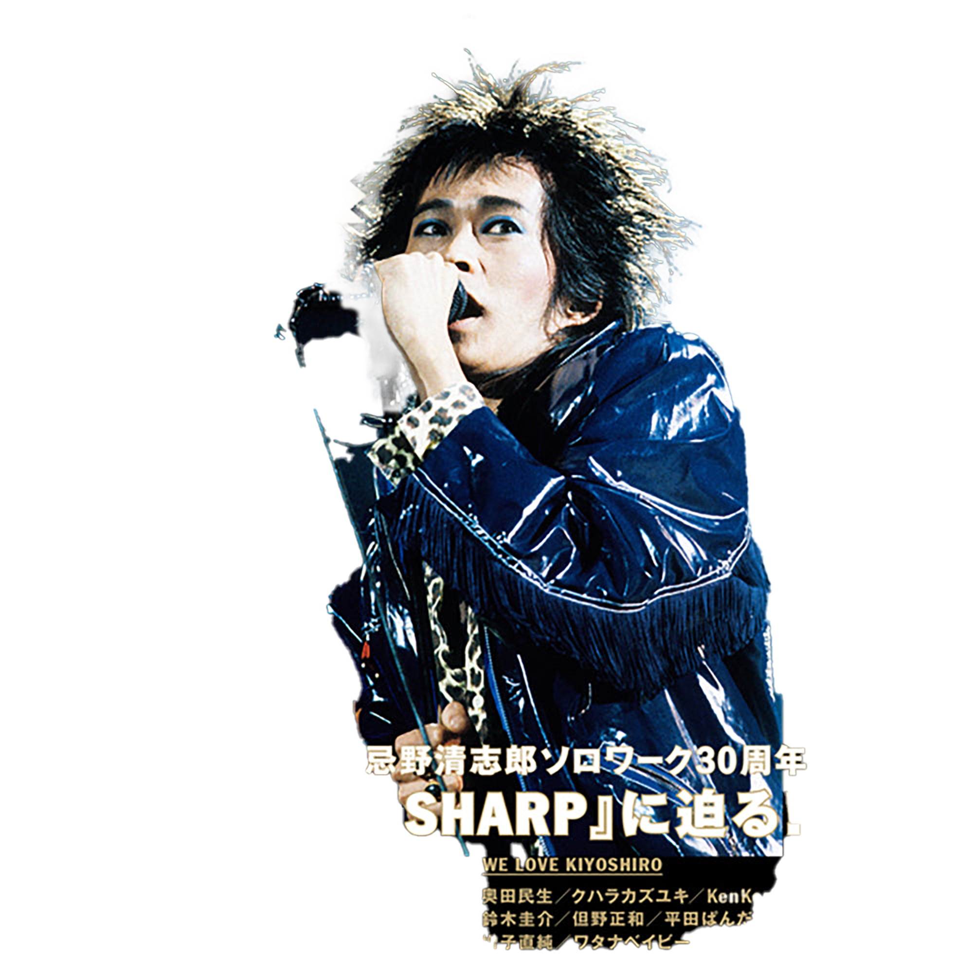 忌野清志郎『Amplifier Book Vol.1～ 1987年の忌野清志郎～』（通常版とカバー違いの特装版！）