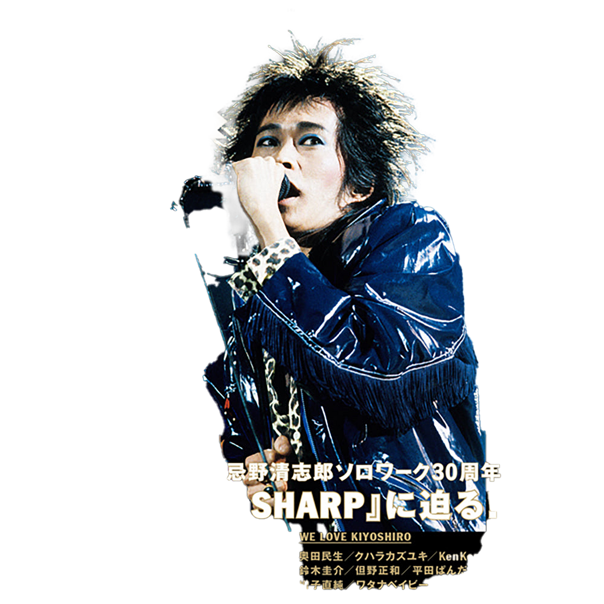 忌野清志郎『Amplifier Book Vol.1～ 1987年の忌野清志郎～』（通常版とカバー違いの特装版！）