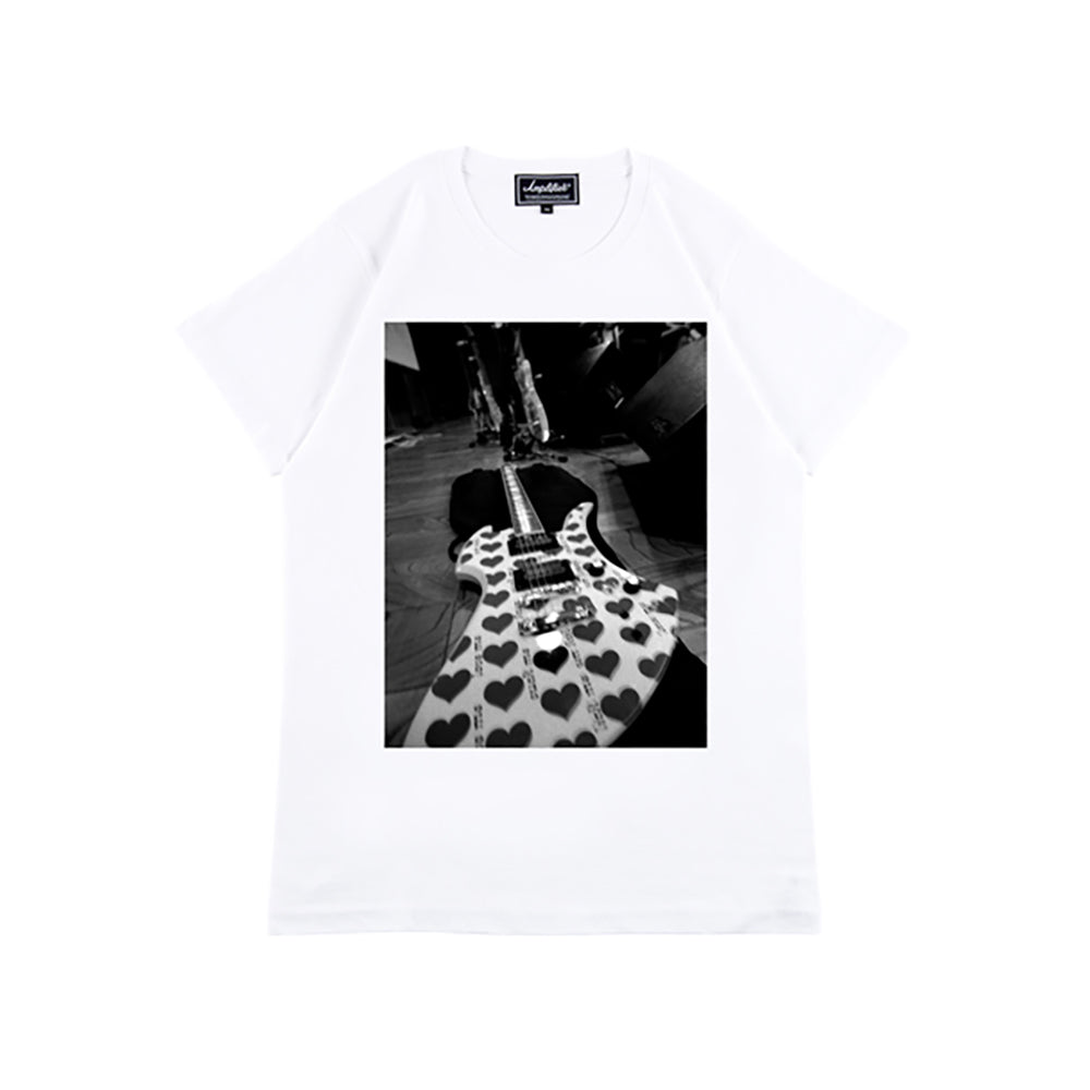 Amplifier “hide” TEE design E
_1