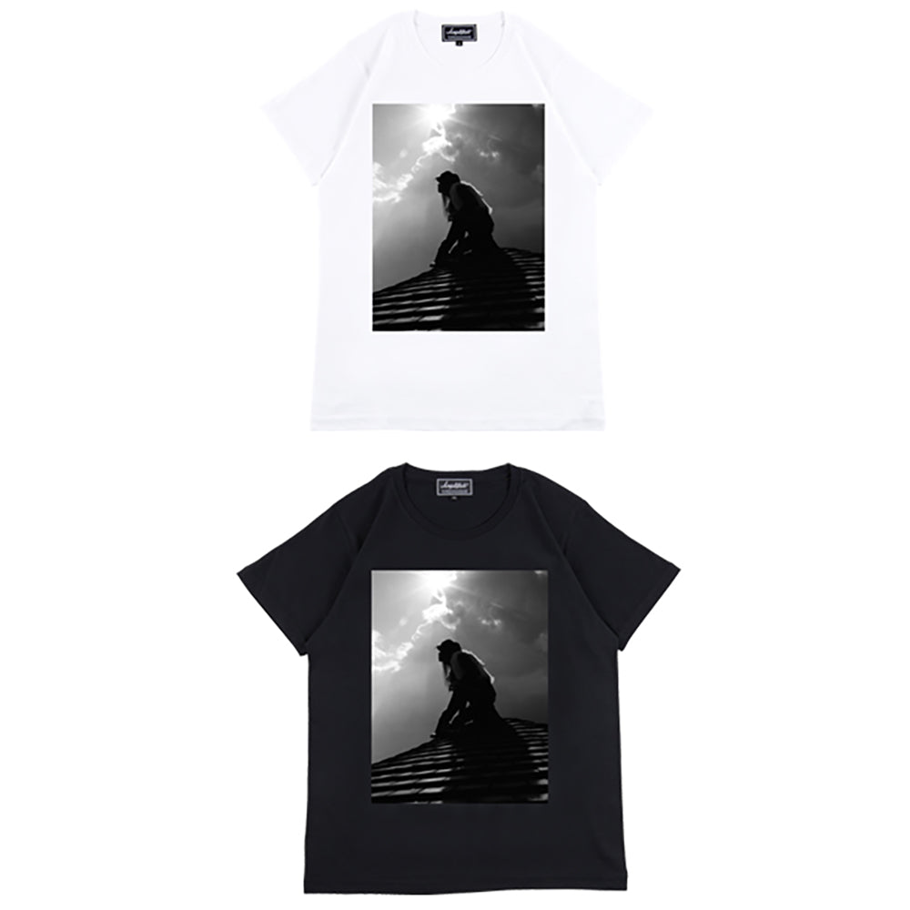 Amplifier “hide” TEE design F
_0