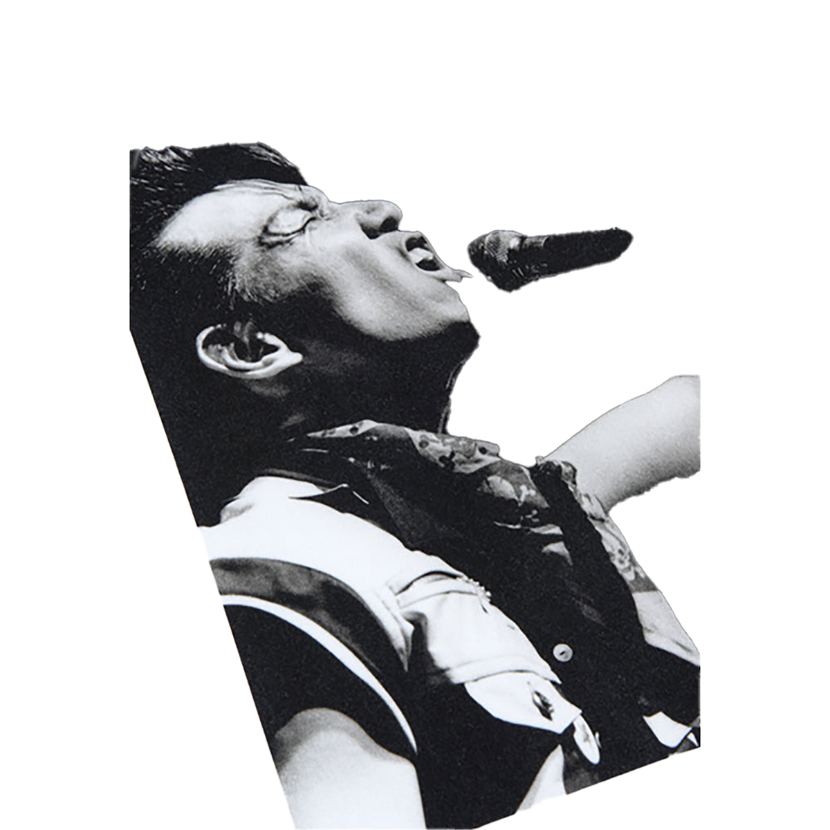 Amplifier “THE MODS” TEE design G