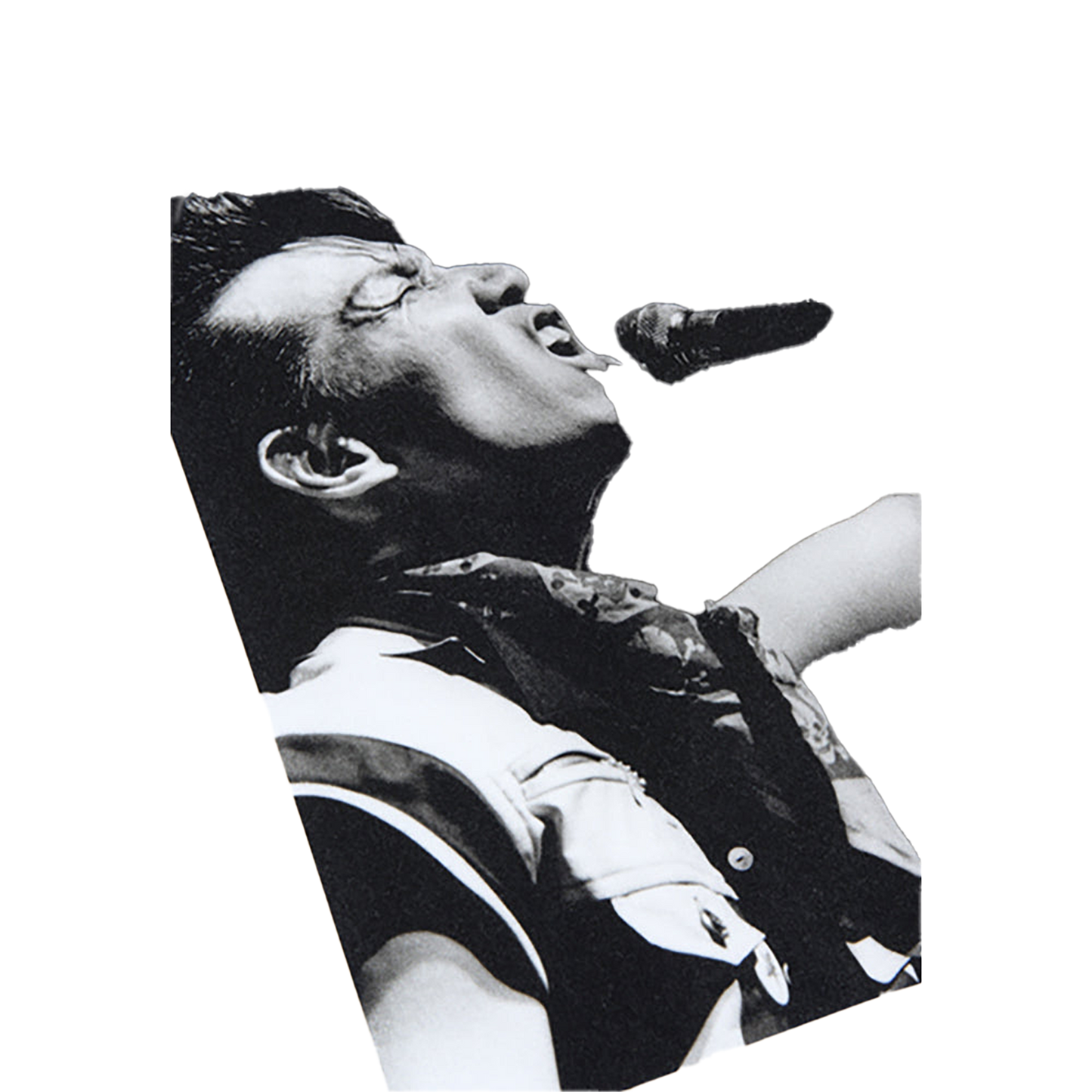 Amplifier “THE MODS” TEE design G