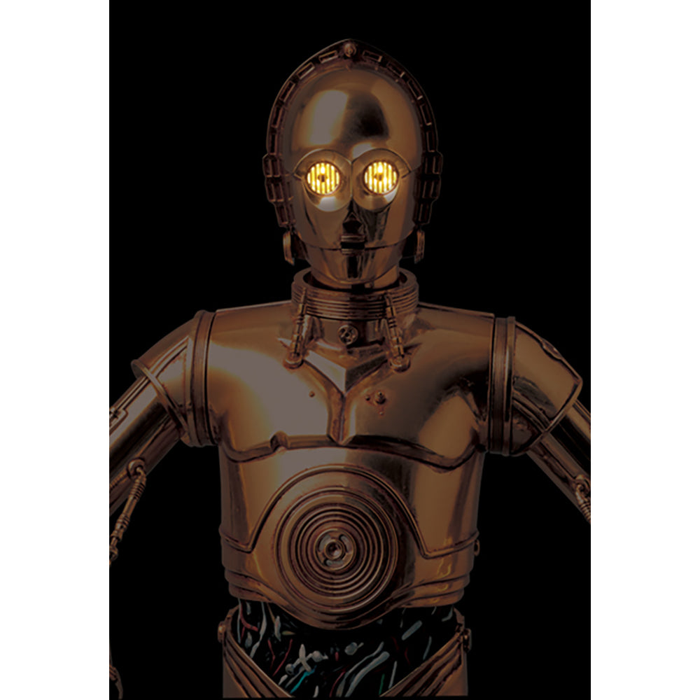 RAH C-3PO(TM) TALKING Ver._2