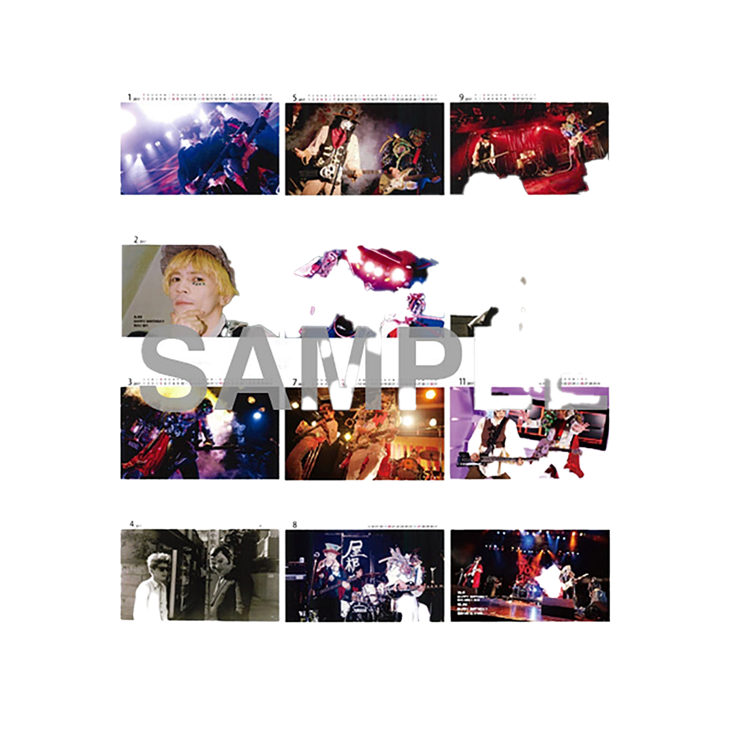 CYBER NEW NEW 2017年 卓上カレンダー