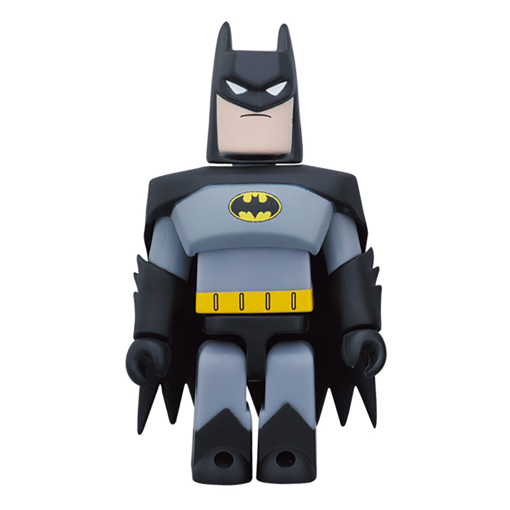 BATMAN(TM)［ANIMATED Ver.］ ＆ ROBIN(TM)［ANIMATED Ver.］2パックセット_1