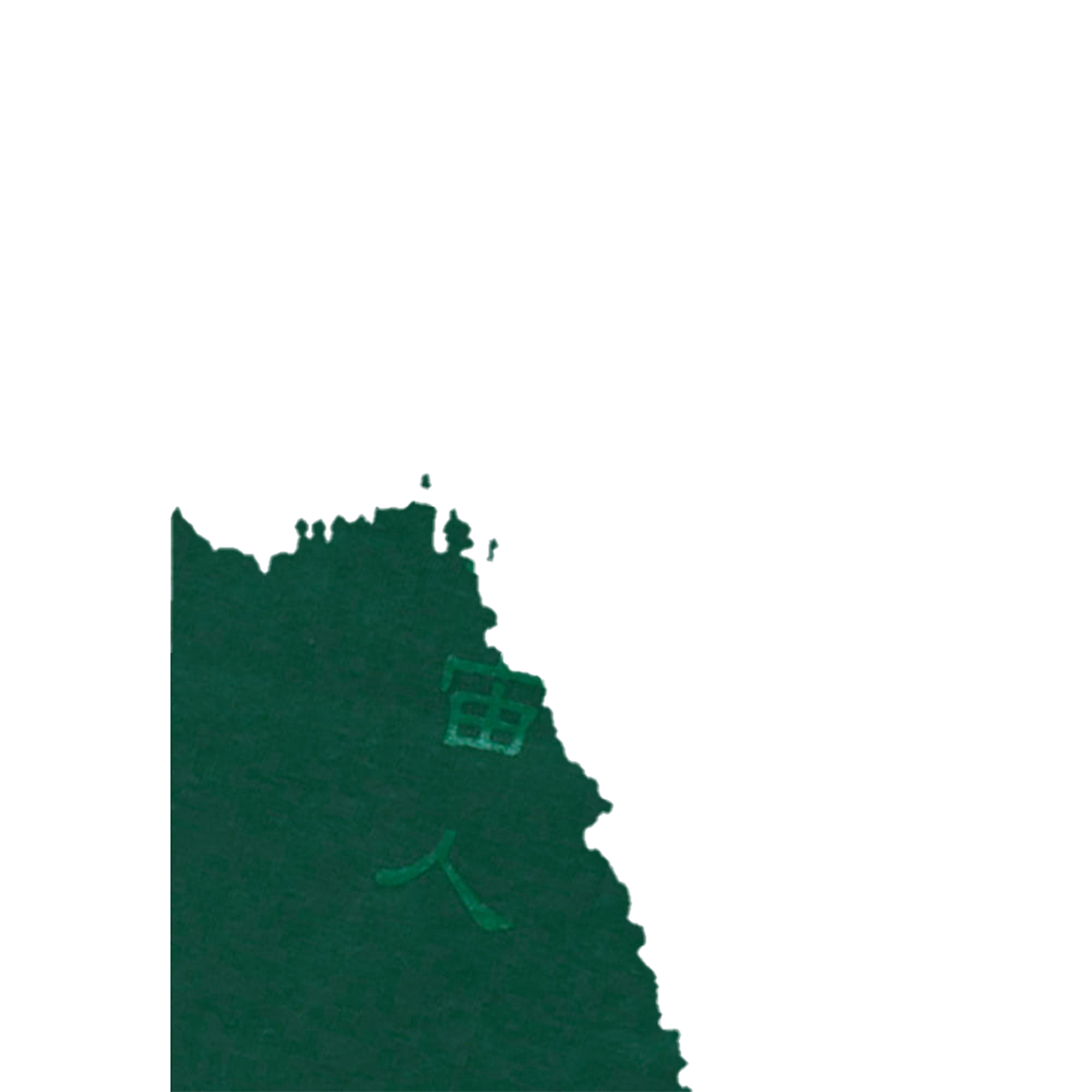 METORON Ss-Tee［GREEN / BLACK］