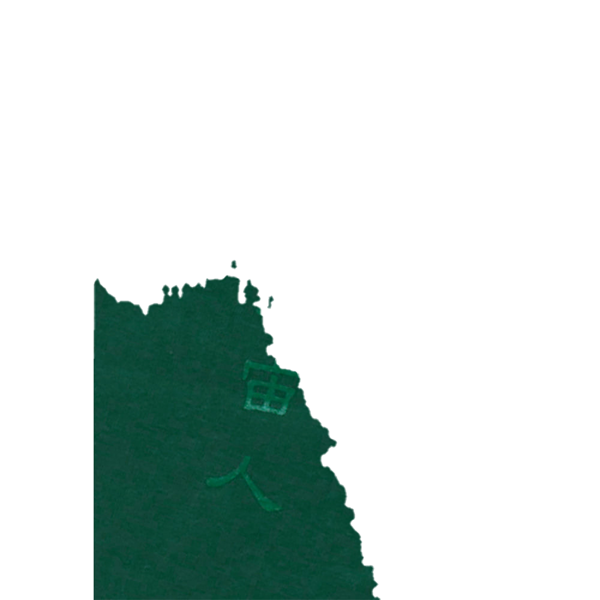 METORON Ss-Tee［GREEN / BLACK］