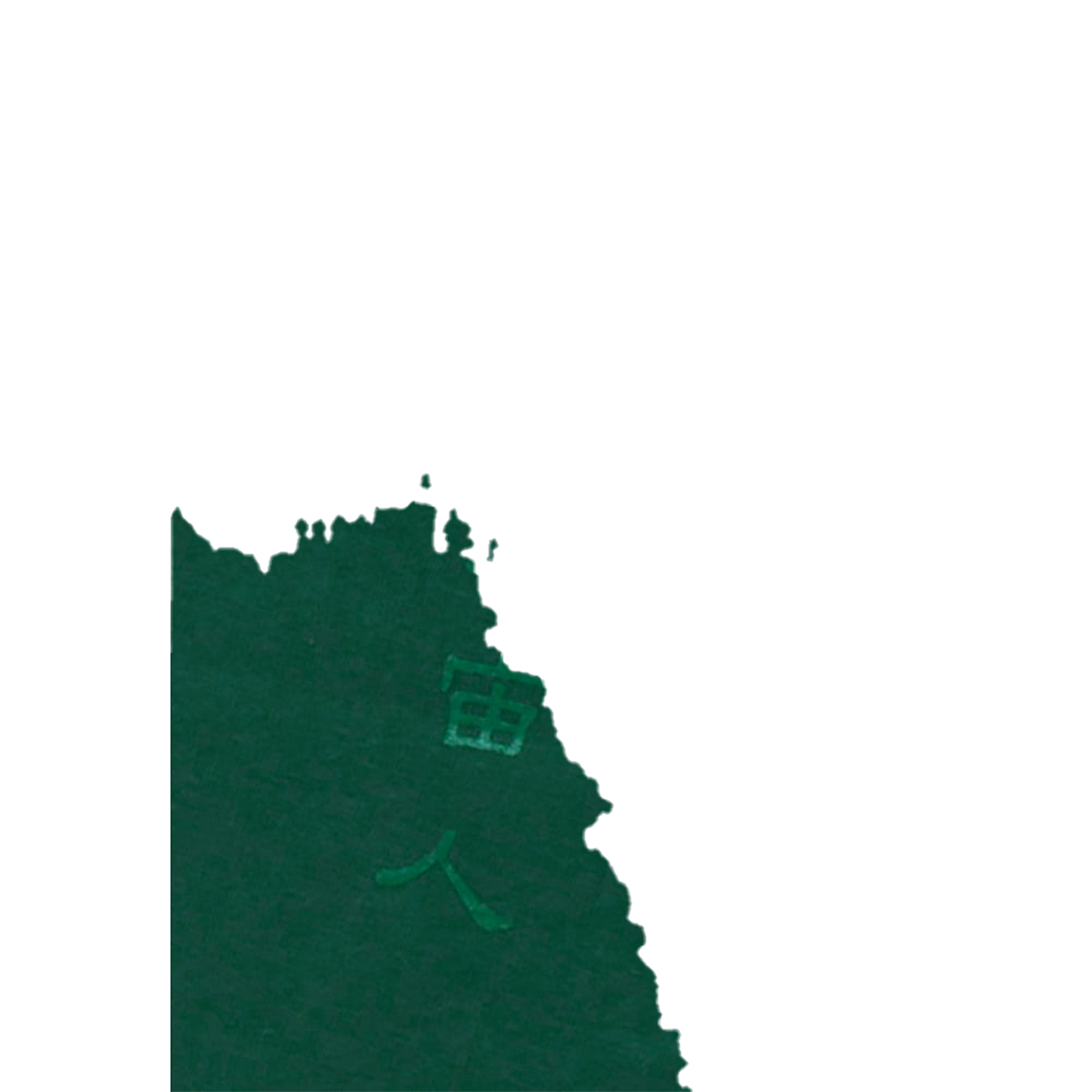 METORON Ss-Tee［GREEN / BLACK］