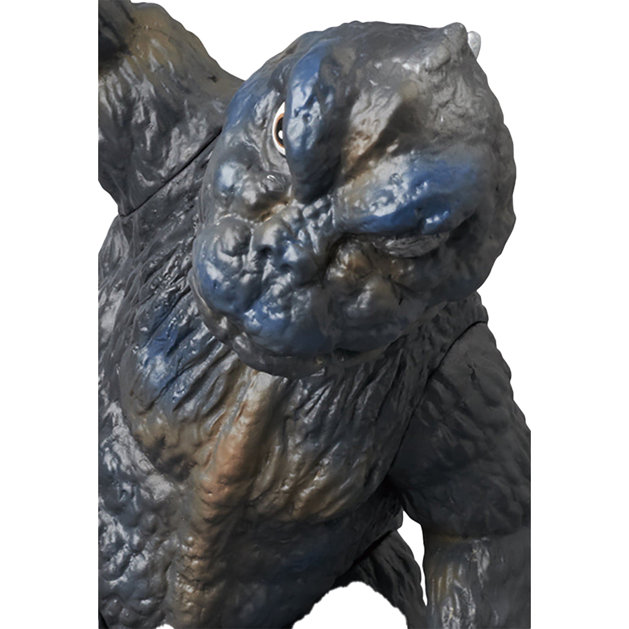 CCP ヘドゴジ