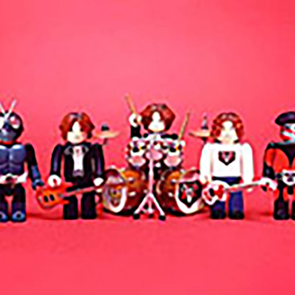 RIDER CHIPS_0