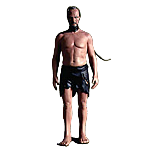 PLANET OF THE APES [TAYLOR]