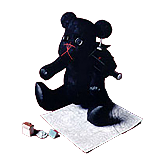 MISSING　BEAR
