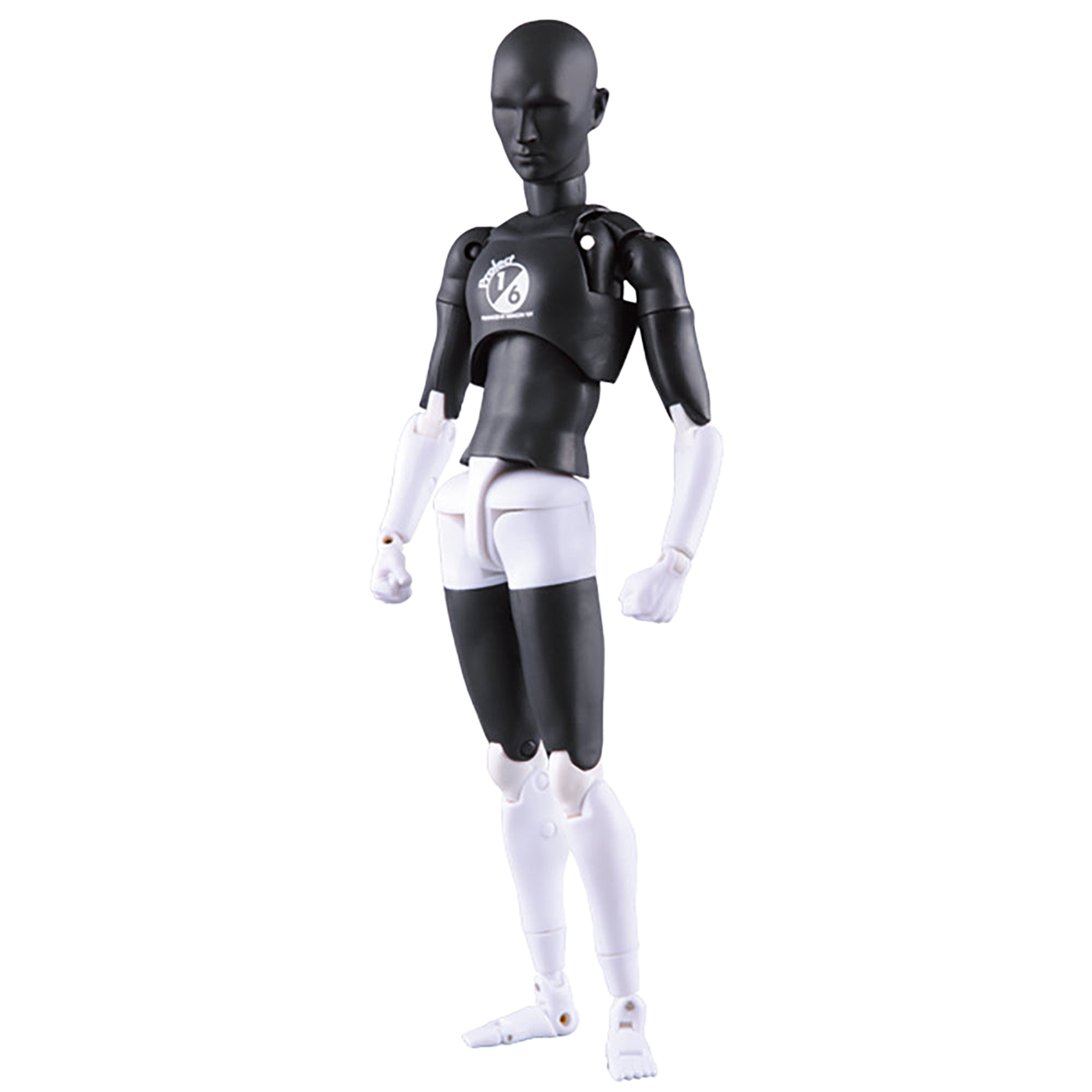 RAH301改 PROJECT 1/6 Ver.
