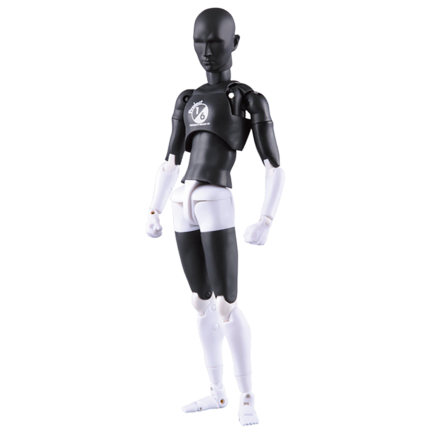RAH301改 PROJECT 1/6 Ver.
