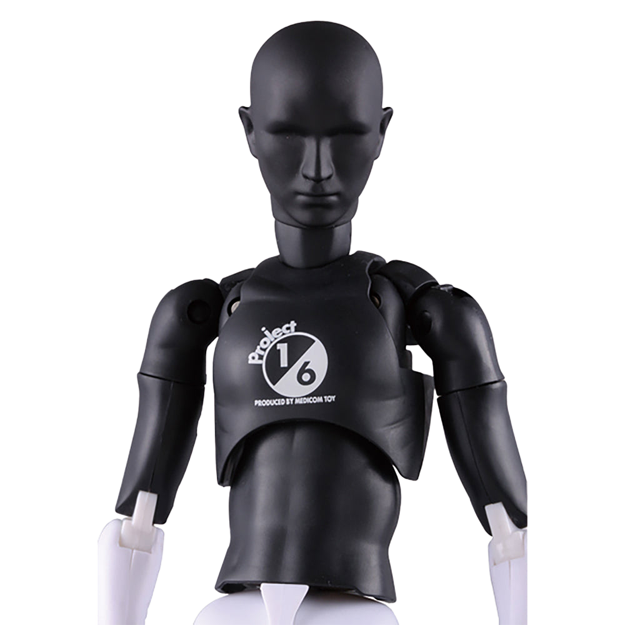 RAH301改 PROJECT 1/6 Ver.
