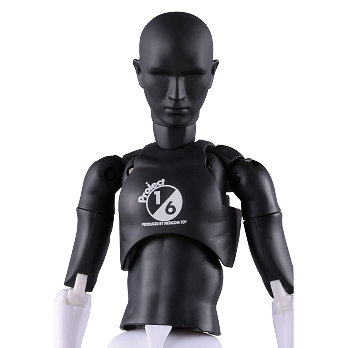RAH301改 PROJECT 1/6 Ver.