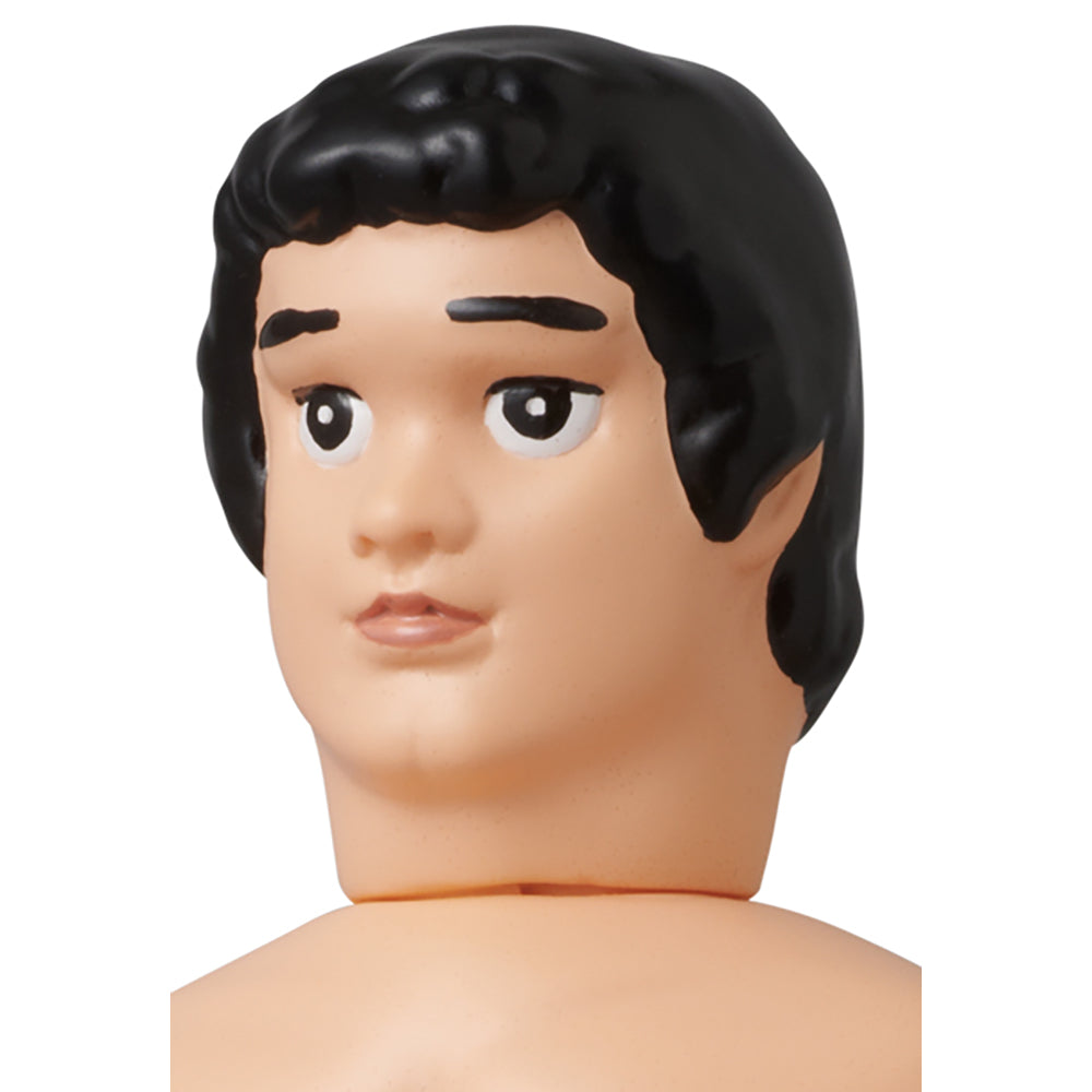 天龍源一郎_2