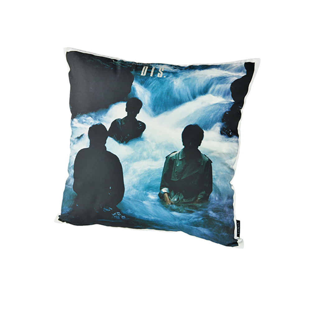 VINYL “THE ROOSTERS” CUSHION DIS._0