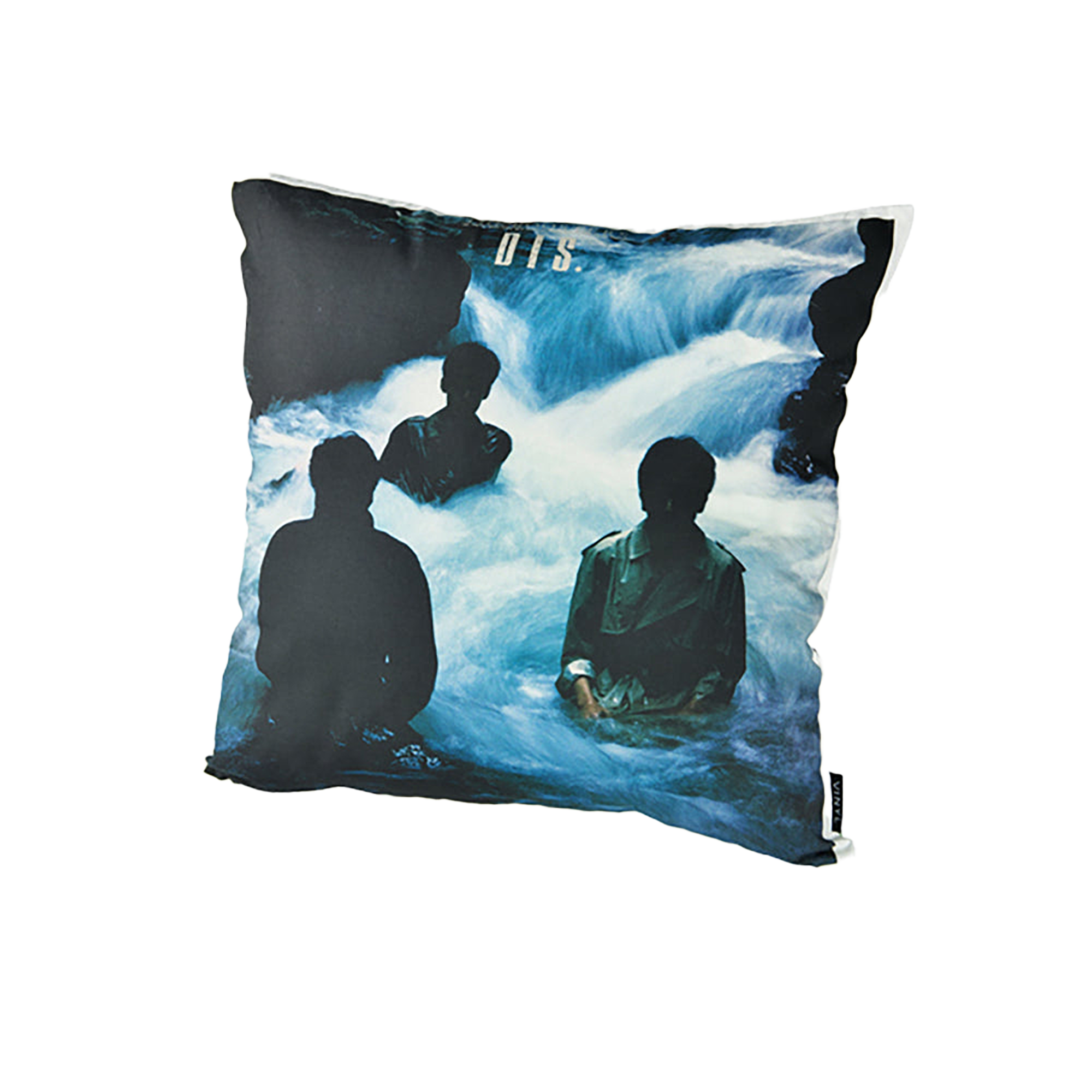 VINYL “THE ROOSTERS” CUSHION DIS.