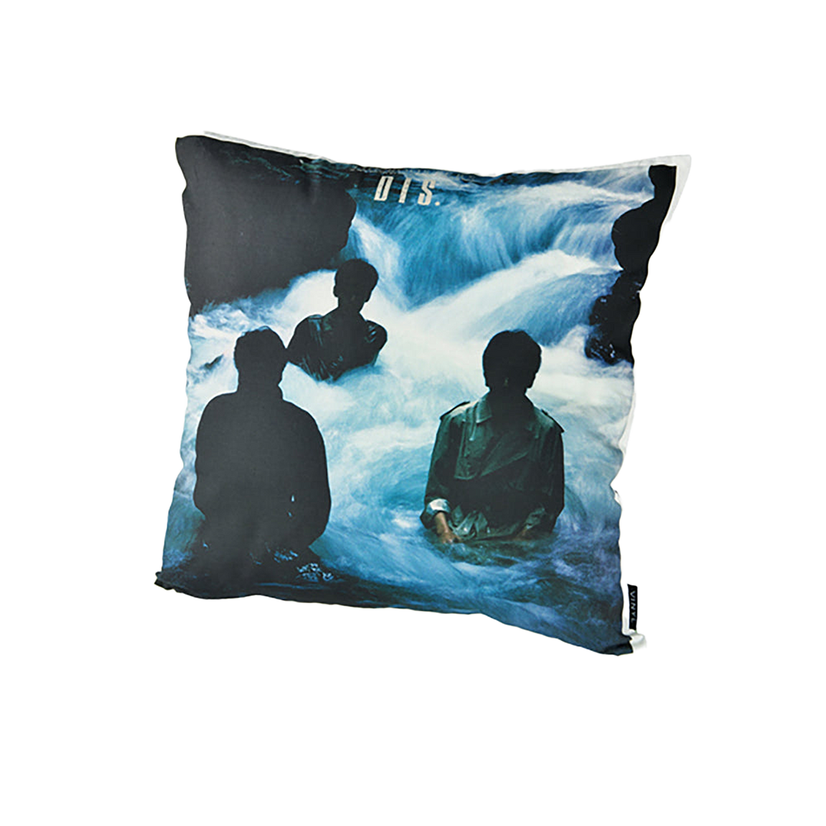 VINYL “THE ROOSTERS” CUSHION DIS.