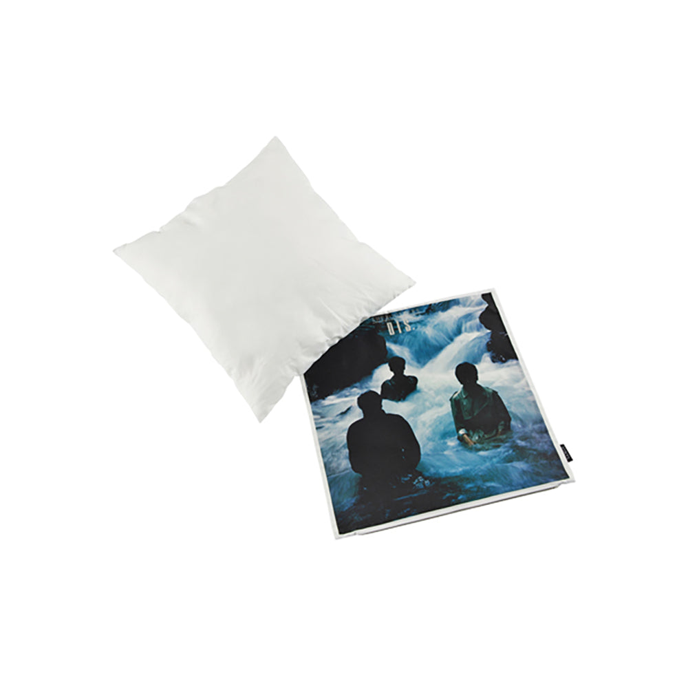 VINYL “THE ROOSTERS” CUSHION DIS._2