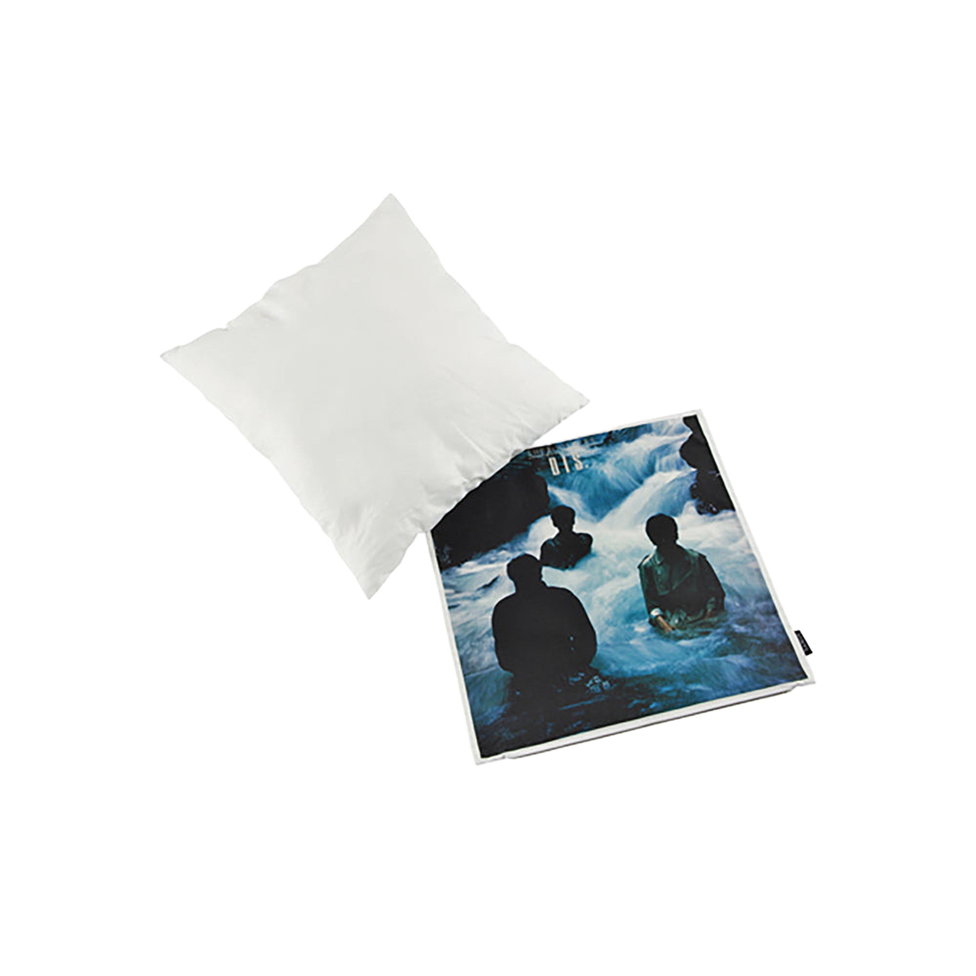 VINYL “THE ROOSTERS” CUSHION DIS.