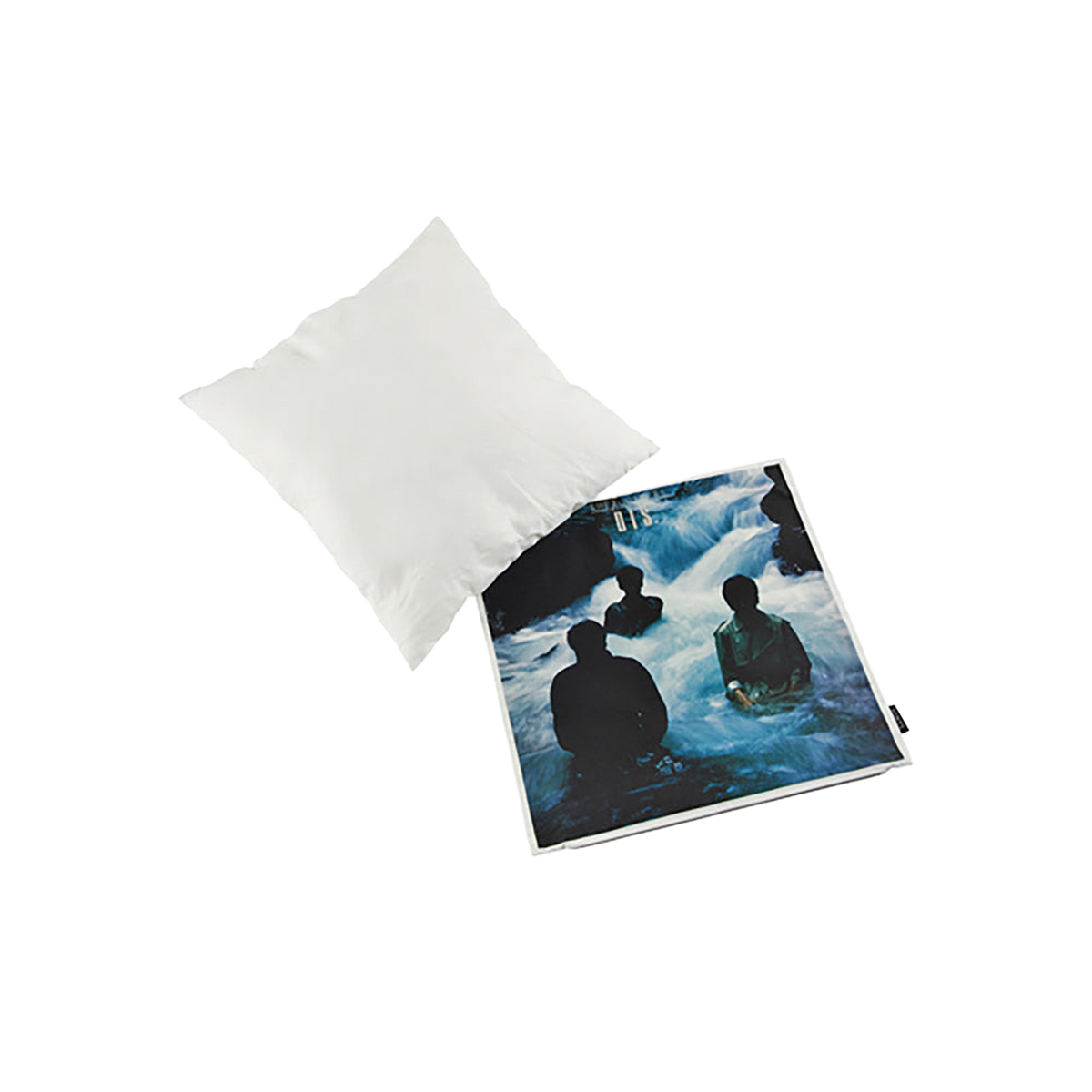 VINYL “THE ROOSTERS” CUSHION DIS.
