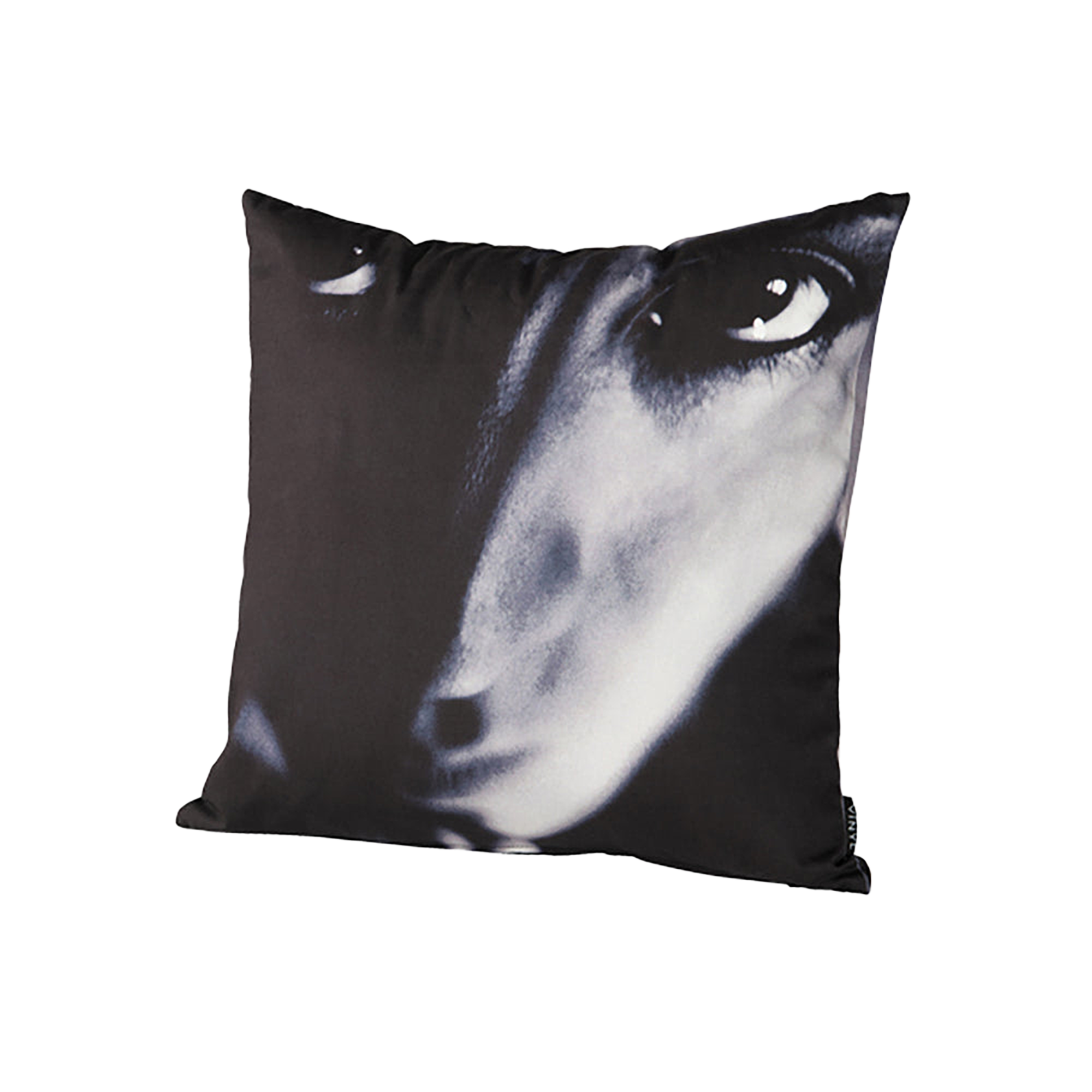 VINYL "SUGIZO" CUSHION TRUTH?