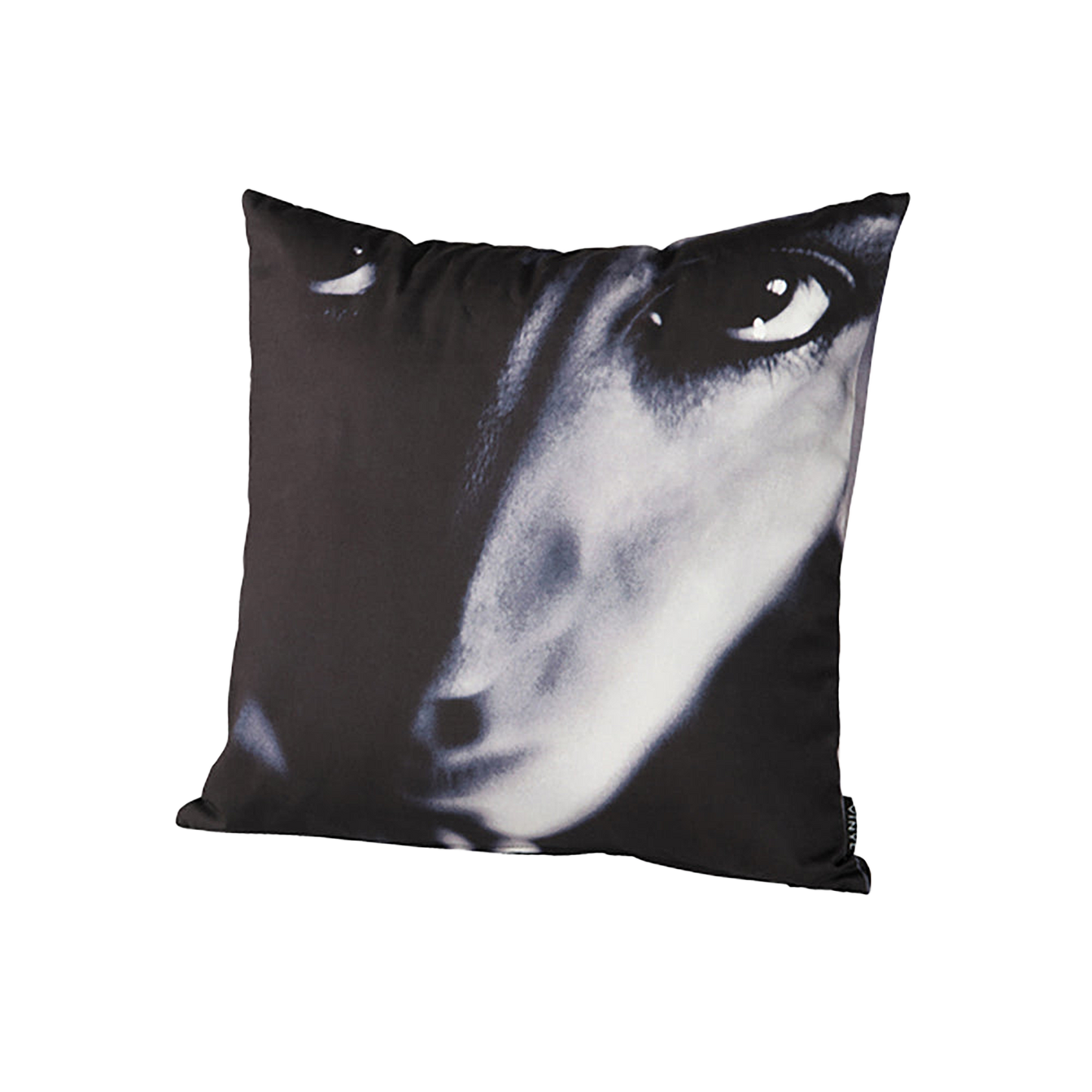 VINYL "SUGIZO" CUSHION TRUTH?