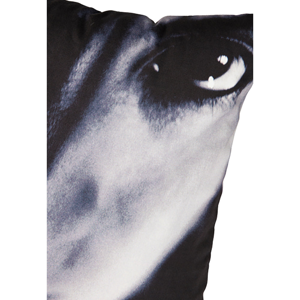 VINYL "SUGIZO" CUSHION TRUTH?_2